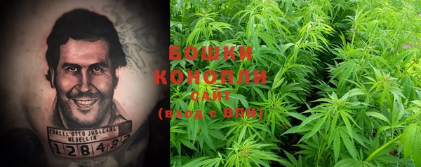 PSILOCYBIN Алексеевка