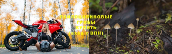 не бодяженный Алзамай