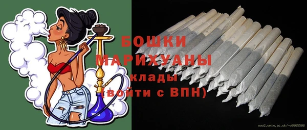 PSILOCYBIN Алексеевка