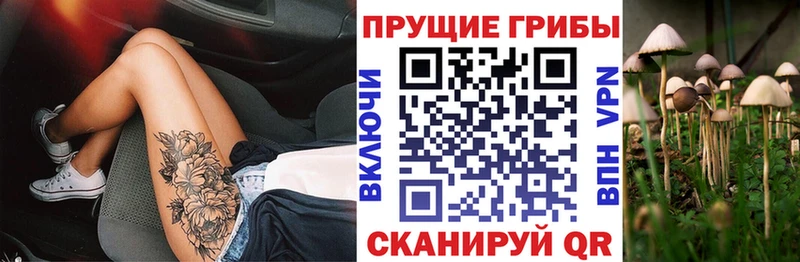 Псилоцибиновые грибы мухоморы Ессентукская