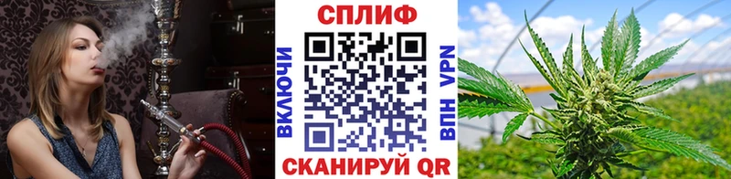Канабис VHQ  Ессентукская 